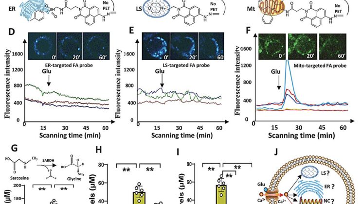 Your Body Produces a Surprising Chemical Usually Found in Labs That Could Be Triggering Depression