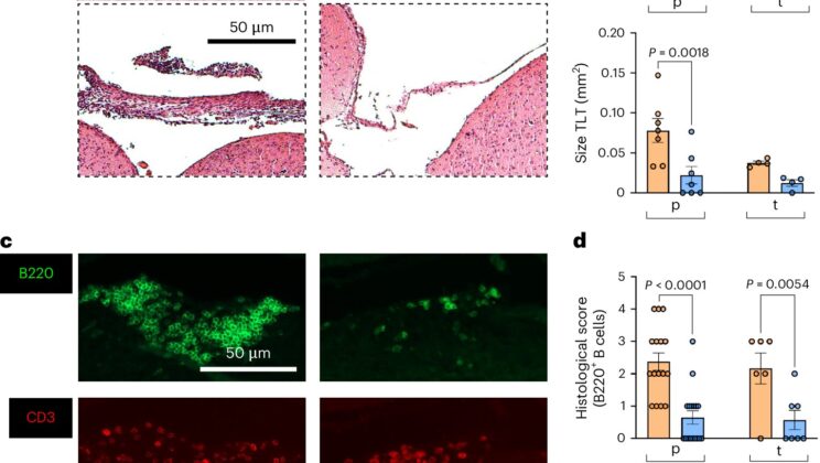 The Secret Chemical Ratio in Your Brain That Could Predict Permanent Disability