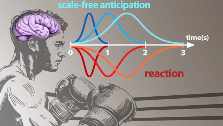 Your Brain Is a Statistical Engine That Predicts the Next Three Seconds of Your Life